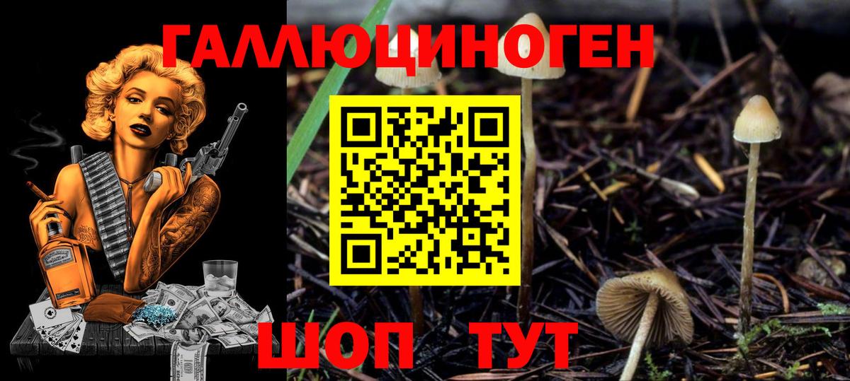 Псилоцибиновые грибы мицелий  Вход с VPN  Кириши 